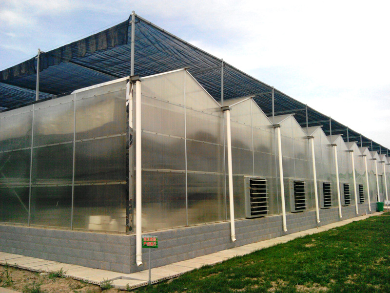 陽(yáng)光板溫室