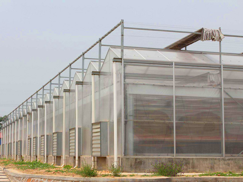 陽(yáng)光板溫室